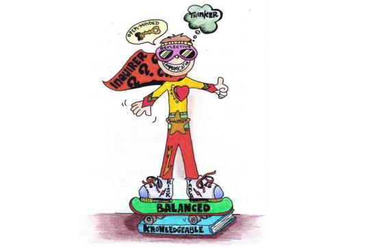 Leerlingcoaching - digitale lessen (ideale leerling)